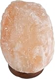Generic SudoreWell® Salzkristall Lampe Salzlampe Natur 4-6 kg aus der Salt Range Pakistan by Salzarena, sw1002sl6-901