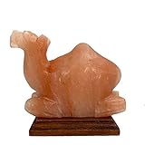 Generic SudoreWell® Salzkristall Lampe Salzlampe Kamel (Camel) aus der Salt Range Pakistan, sw1002slcam01
