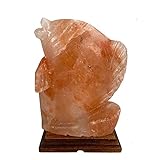 Generic SudoreWell® Salzkristall Lampe Salzlampe Fisch aus der Salt Range Pakistan, sw1002slfish01
